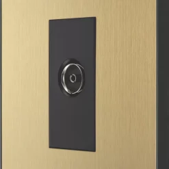 British General Evolve 1-Gang Coaxial TV / FM Socket Satin Brass With Black Inserts