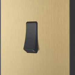 British General Evolve 20 A 16AX 1-Gang 2-Way Light Switch Satin Brass With Black Inserts